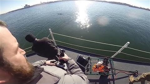 U.S. Navy Tests Robotic Fish Spy