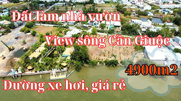 Đất Cần Giuộc giá rẻ. Diện tích 4900m2, view sông Cần Giuộc trong đó có 300m2 thổ cư, SHR