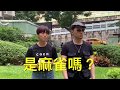 楊昇達 若綺
