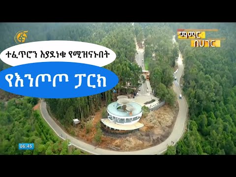 ቪዲዮ: የእሳት መጫኛ የእሳት አደጋ ሠራተኞች ከእኛ ጋር ይራመዳሉ