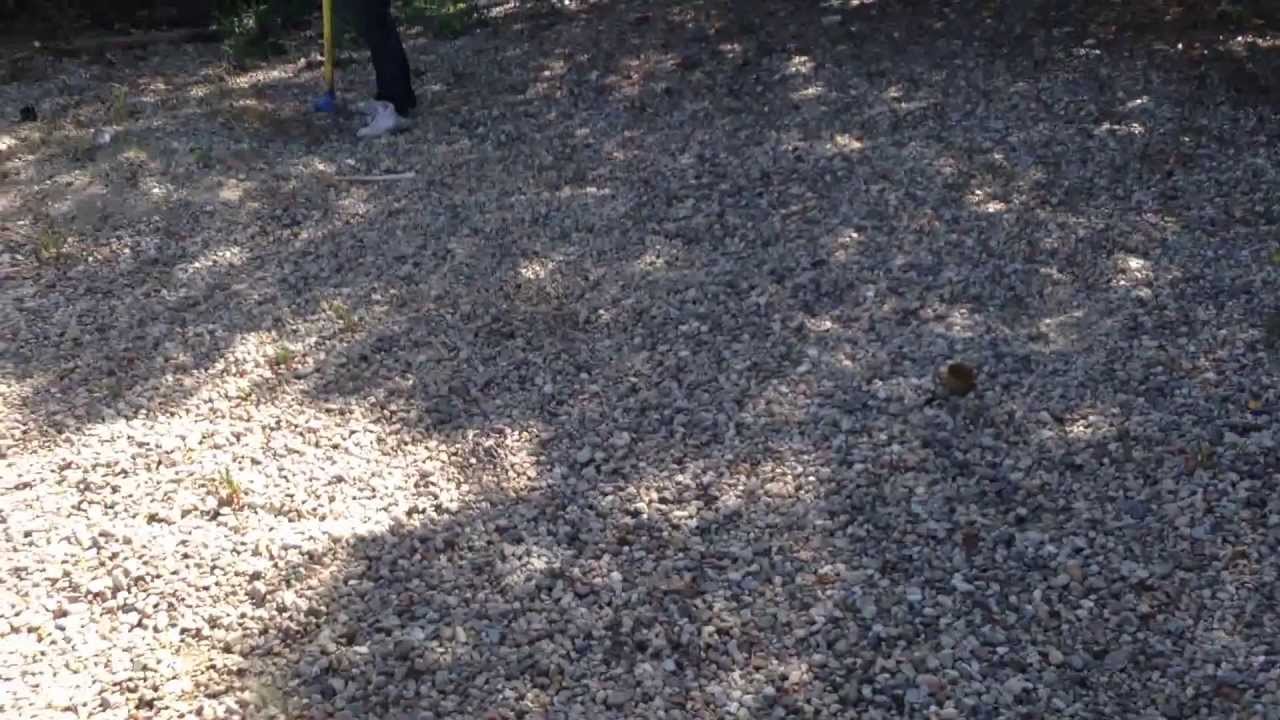 Exploding spray paint can YouTube