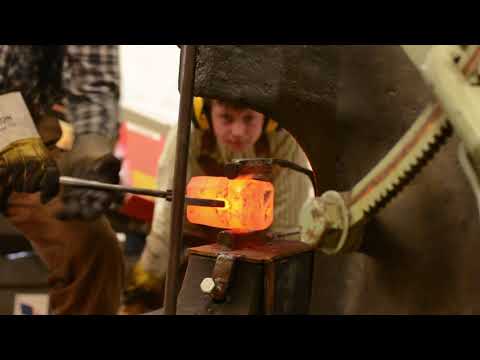 Forging A Sledge With 11 YO Jasper And The Steam Hammer