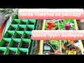 Посев томатов на рассаду Важные моменты Выбор грунта,не всякий подойдет