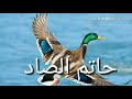 اصوات اخضري تشم بربش حذاف و ل ت ن سه أ ل أ ي ګ اصوات اخضري تشم بربش حذاف و ل ت ن سه أ ل أ ي ګ
