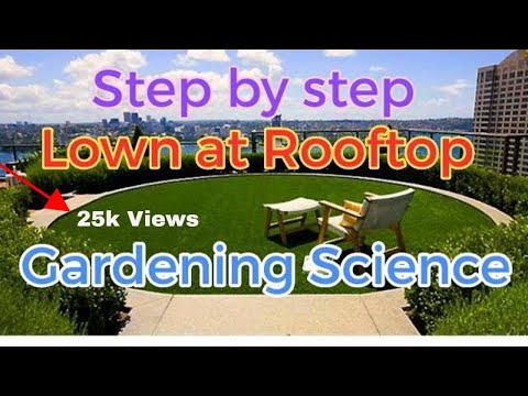 How to create lawn on rooftop no leakage & no high cost - Gardening Science