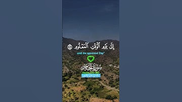 تلاوة خاشعة قرأن كريم راحة نفسية #elmulquranعلم #قران_كريم #تلاوة #المصحف #اكسبلور #trend #لايك