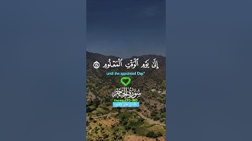 تلاوة خاشعة قرأن كريم راحة نفسية #elmulquranعلم #قران_كريم #تلاوة #المصحف #اكسبلور #trend #لايك