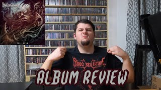 BLOOD RED THRONE | SILTSKIN | Album Review (BRT TAKES BACK THEIR THRONE IN RIFF CITY)
Today, I am reviewing the latest offering from Norwegian death metal legends, Blood Red Throne, SILTSKIN.
#bloodredthrone #siltskin #deathmetal #soulsellerrecords #albumreview #reaction #review #newmetalalbums #newmetalrelease
Hi, Im Levi a.k.a. thrashmaniac99 and I am a passionate old school wrestling fan and a massive metalhead.
Follow me on Instagram:
https://www.instagram.com/thrashmaniac99_yt/
Follow me on Twitch:
http://www.twitch.tv/thrashmaniac99_yt
Join my Discord:
https://discord.gg/Mf9VHG5
Donate to PayPal:
https://paypal.me/thrashmaniac99
Be sure to hit that subscribe button and give me a like, comment, and share.
Thank you for watching! BLOOD RED THRONE | SILTSKIN | Album Review (BRT TAKES BACK THEIR THRONE IN RIFF CITY)