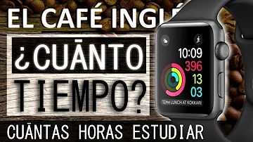 ¿Cuántas horas al día hay que practicar un idioma?