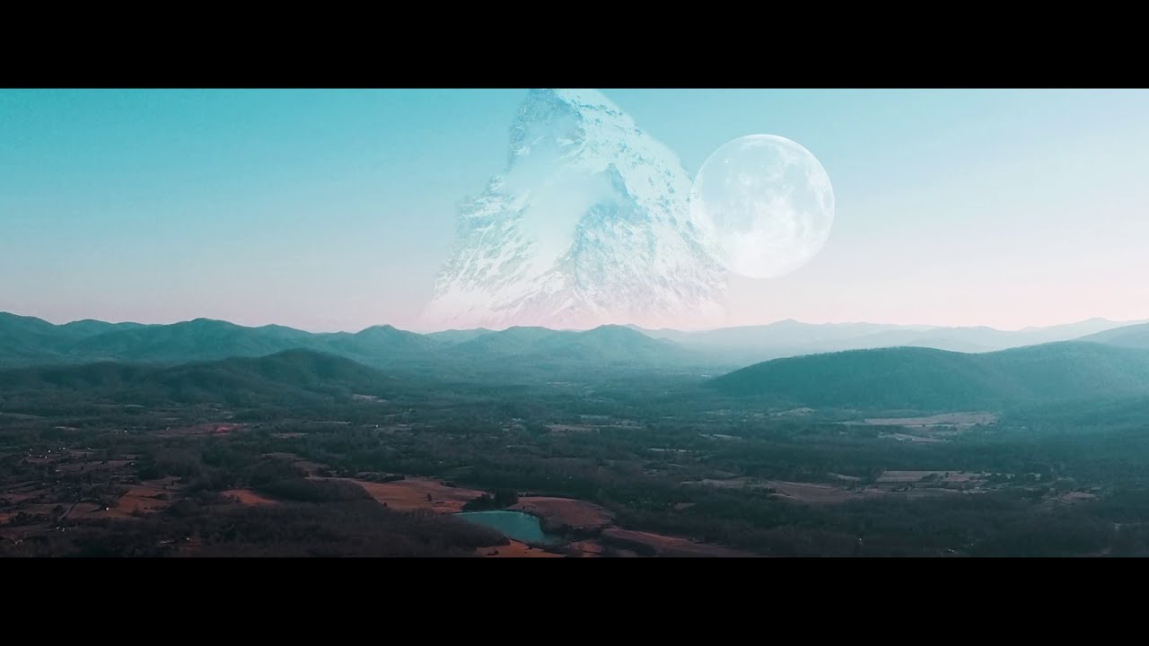 The Search