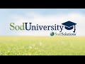 Sod university by sod solutions