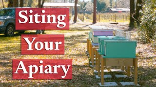 Choosing A Proper Apiary Site Beekeeping Academy Ep. 5