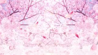 벚꽃 애니 배경 봄이 오고 있네요 screenshot 4