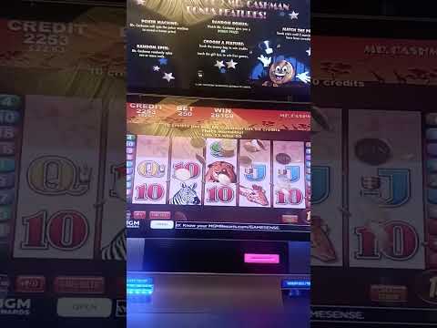 Novibet Casino - Gaming the right way