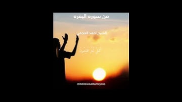 من سورة البقرة الشيخ احمد العجمي #fypage #fypシ #islam #القرآن_الكريم_راحة_نفسية #viral #foryou