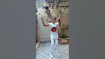 عندي كلبي سيزر اسأل عنو العالمي مصر 