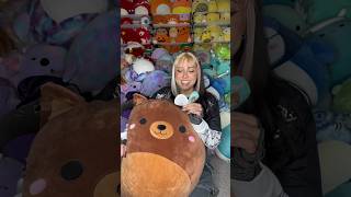 Squishmallow Of The Day Omar The Bear