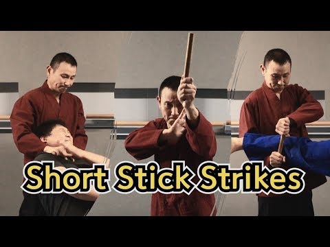 Short stick fighting technique #teaching #selfdefense