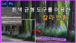 흰색 균형 도구(White Ballance Tool)를 이용한 칼라 변환 #photoshop #칼라변환