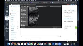 Uploading Files on Canvas