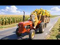 Kitten Teased for Not Having a New Hat 🐱 Mama Cat Harvests Corn to Buy One for Her Kitten !