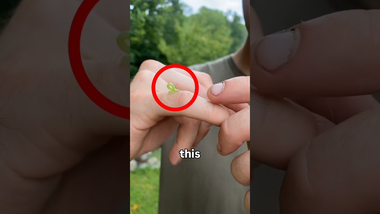 #viralcontent