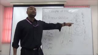 Information Dengue Part 2 (Management) by Dr Ariff Arithra Update