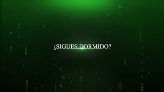 ¿ Sigues dormido ? ¡ Despierta !