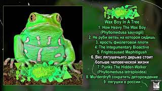 Phyllomedusa x Purplefrog Staphilococcus - Wax Boy In A Tree FULL ALBUM (2024-Frognoise/Avant Garde)