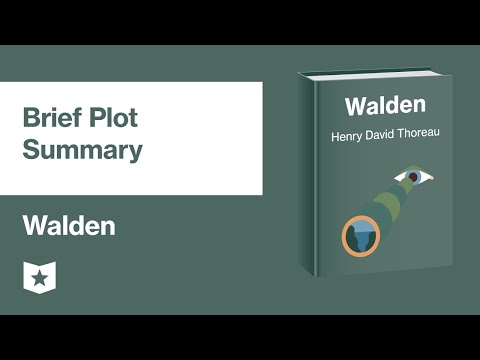 Video: Was passiert in Walden?