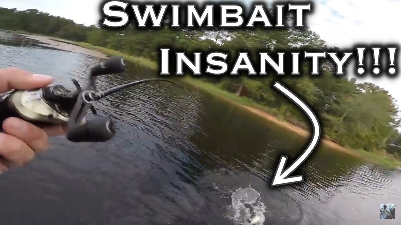 Fall Bass Fishing: Craziest Swimbait Catch Ever!!! #TBT