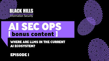 Where are LLMs in the Current AI Ecosystem? | bonus 1