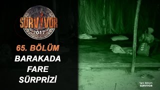 Ünlüler Barakasında Fare Sürprizi Ademin Üzerinden Atladı...| 65. Survivor 2017 Resimi