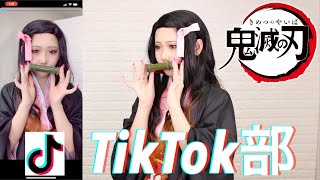 【TikTok部】鬼滅の刃禰豆子ちゃんで撮ってみた！【コスプレ】