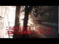 57 U 12バスケットボール上達革命～ゼロから強豪校でも通用する強い選手を育成する方法～ 【柿生レッズ＆フィリーズ　佐 評判 特典 購入 感想 動画 ブログ 60 評価 お試し レビュー ネタバレ能