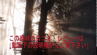 57 U 12バスケットボール上達革命～ゼロから強豪校でも通用する強い選手を育成する方法～ 【柿生レッズ＆フィリーズ　佐 評判 特典 購入 感想 動画 ブログ 60 評価 お試し レビュー ネタバレ能