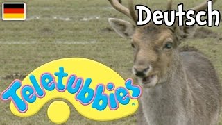 Teletubbies Auf Deutsch - Im Wildpark