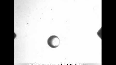 High speed motion by dielectrophoresis