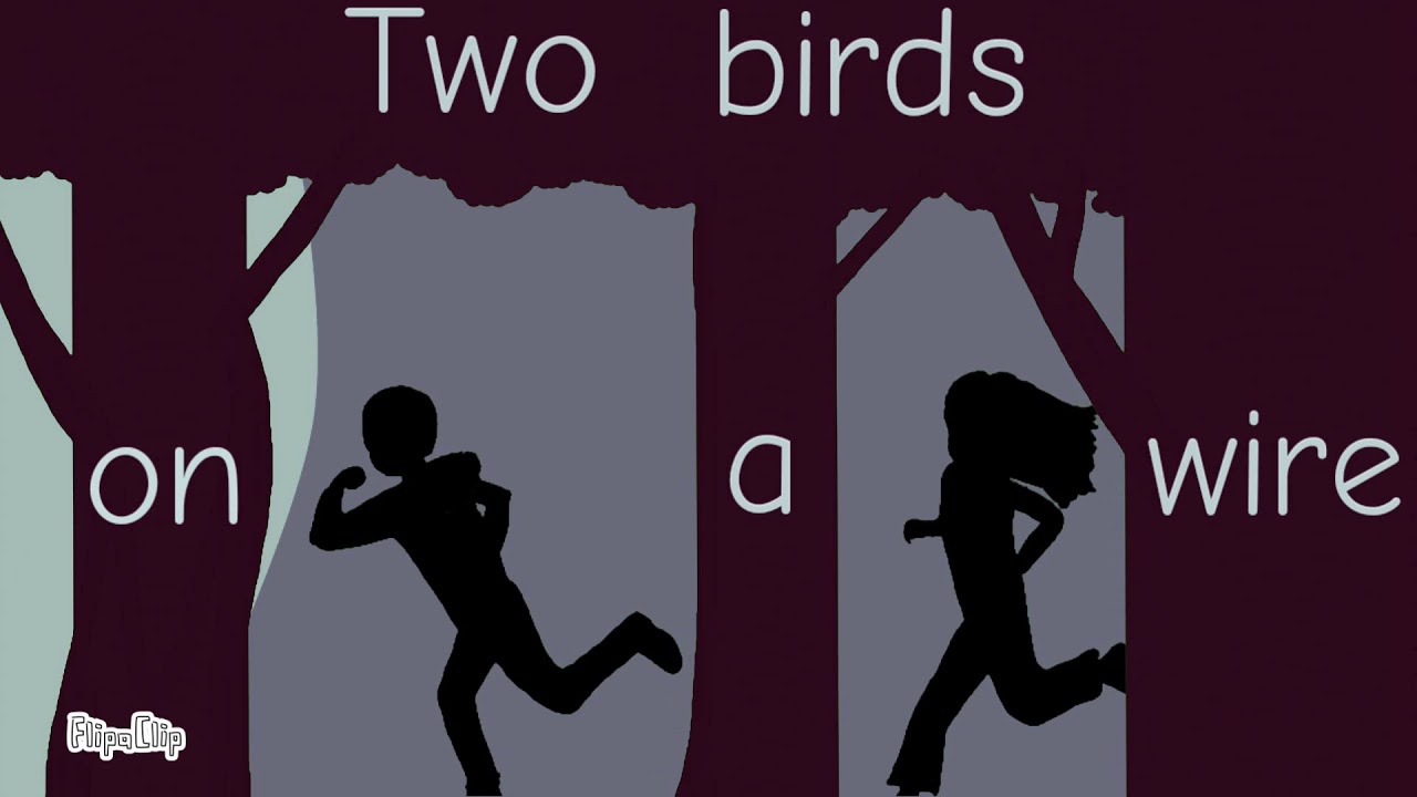 Песня two birds on a wire