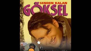 Göksel Gönüllü Yazıldım Resimi