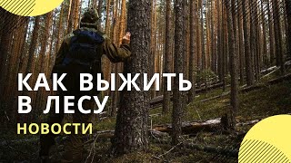 Что делать, если вы заблудились в лесу. ТОП-5 правил