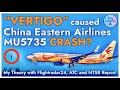 "VERTIGO" caused MU5735 China Eastern Air Boeing 737 Crash? ATC CCTV Video Flightradar24 Path Theory