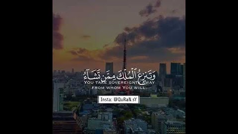 القارئ احمد خضر تلاوة هادئة 💙 حالات واتس اب / ستوريات قرآن || Quran status