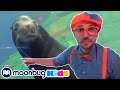 BLIPPI Blippi Visits an Aquarium | Moonbug Kids Play and Learn