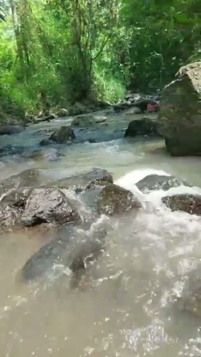ketahuan berak di sungai.
