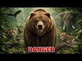 Cute Teddy Ya Jungle Ka Sabse Khatarnak Gunda? 😱 | Bear Facts Hindi | Anand_Visuals