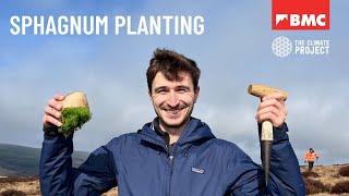 What is does sphagnum planting look like? | Get Stuck In