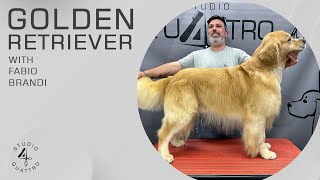 GOLDEN RETRIEVER COMPLETE GROOMING (TRAILER)