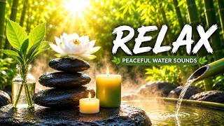 🌿 Relaxing Music • Zen Garden with Bamboo Water Sounds screenshot 4