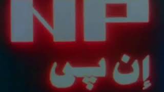 NP (1980)